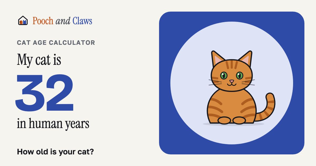 My cat is 32 in human years
