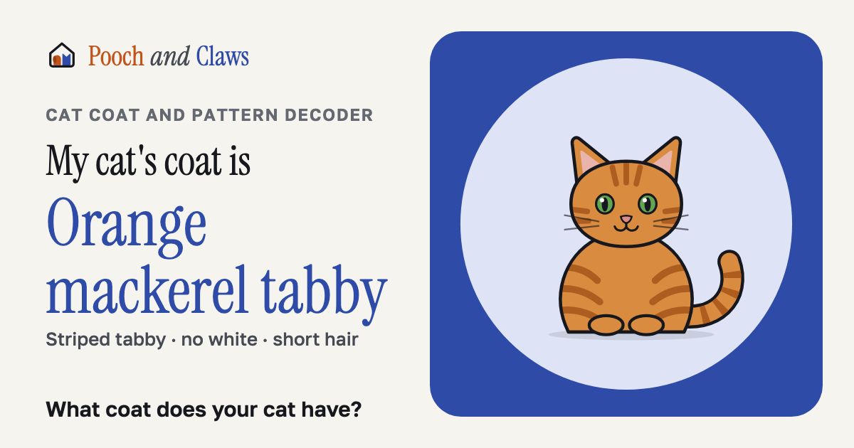 My cat's coat is orange mackerel tabby